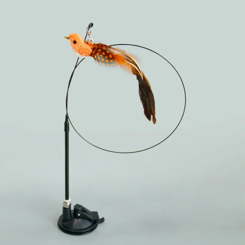 Interactive Feather Toy