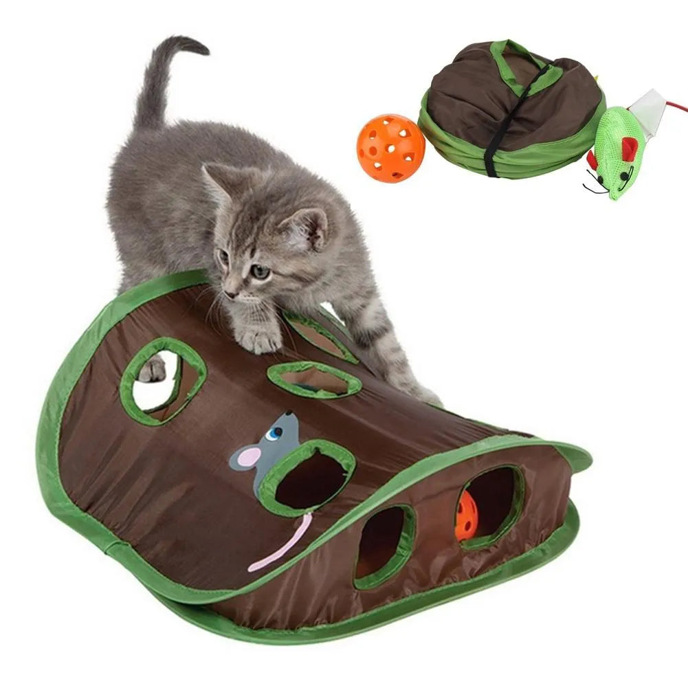 Hide & Seek Mouse Hunt