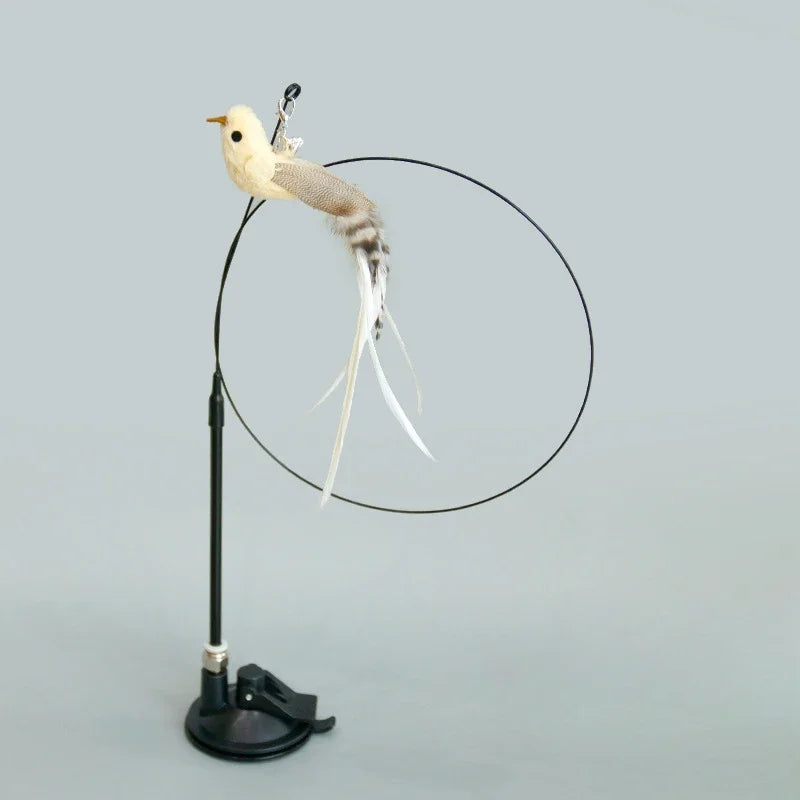 Interactive Feather Toy
