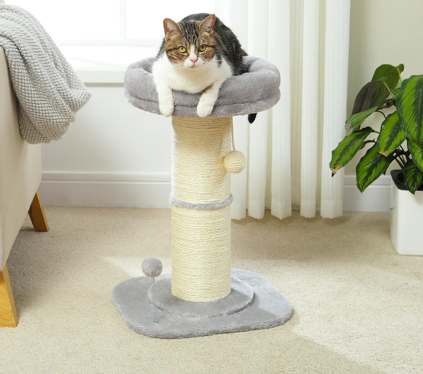 Rose Bud Scratching Post