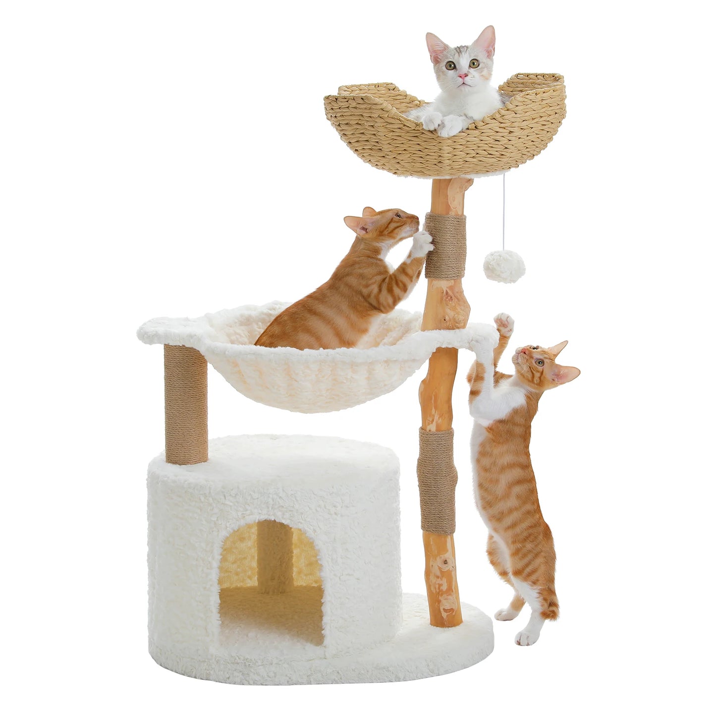 Chill Climb Cat Scratching Post!