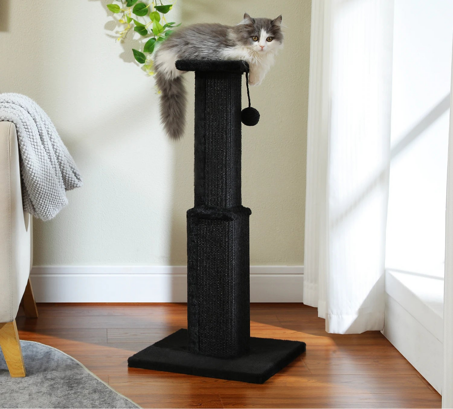 Scratch Tower Cat Post