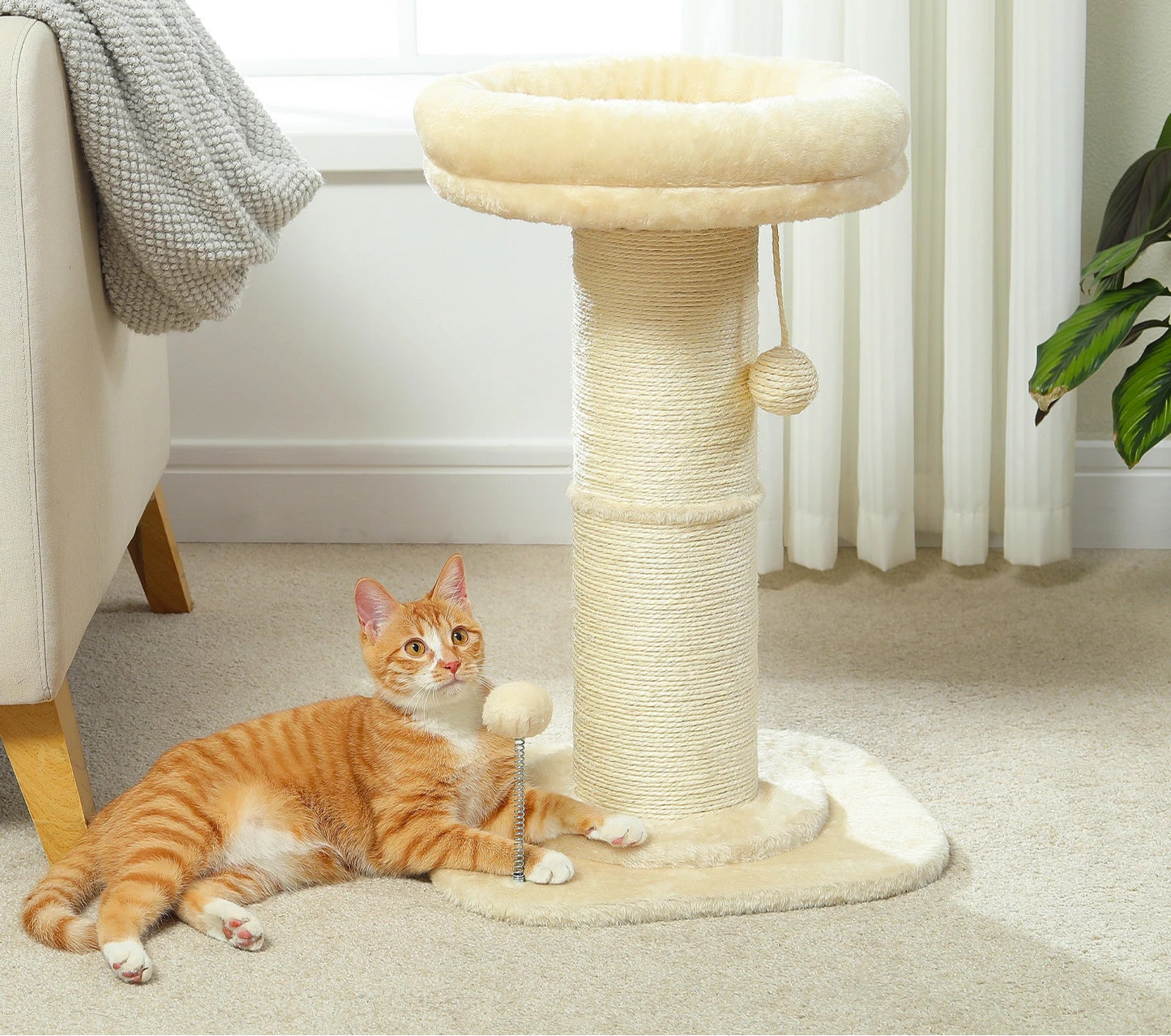 Rose Bud Scratching Post