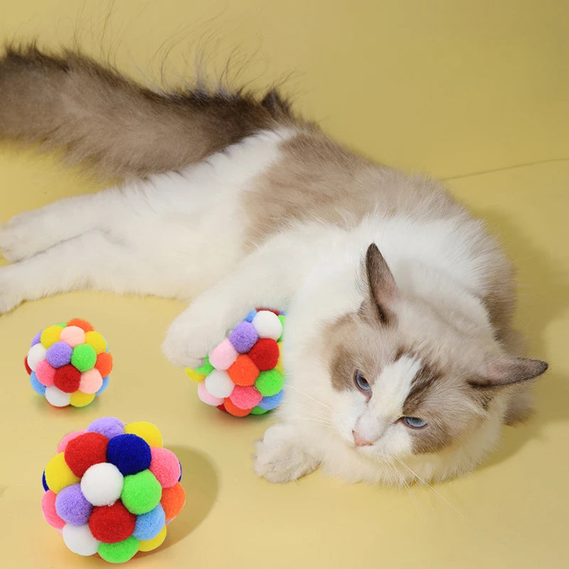 Colorful Squishy Ball