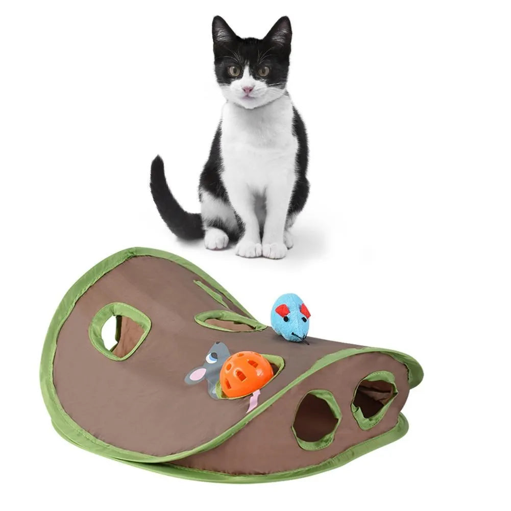 Hide & Seek Mouse Hunt