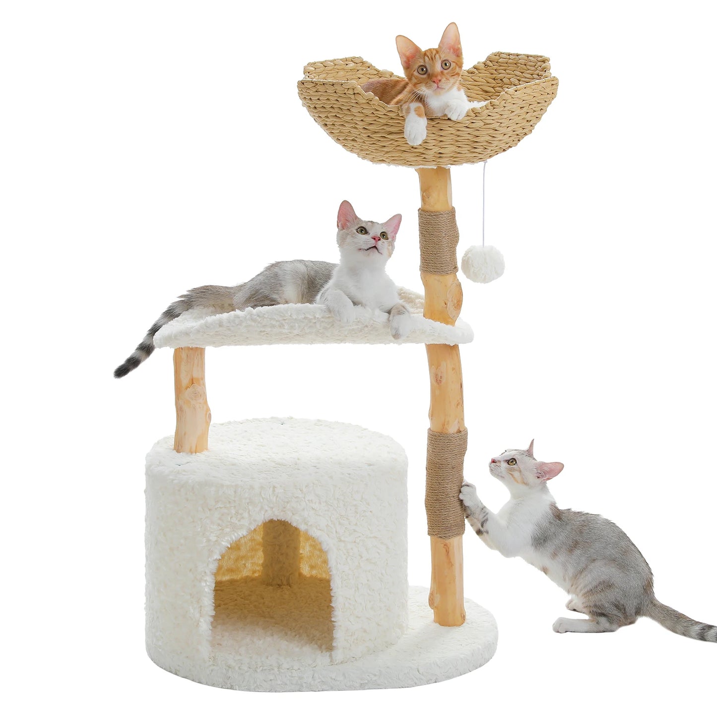 Chill Climb Cat Scratching Post!