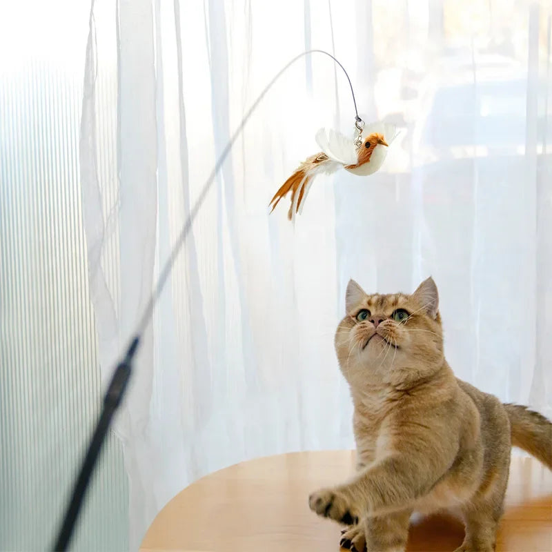 Interactive Feather Toy
