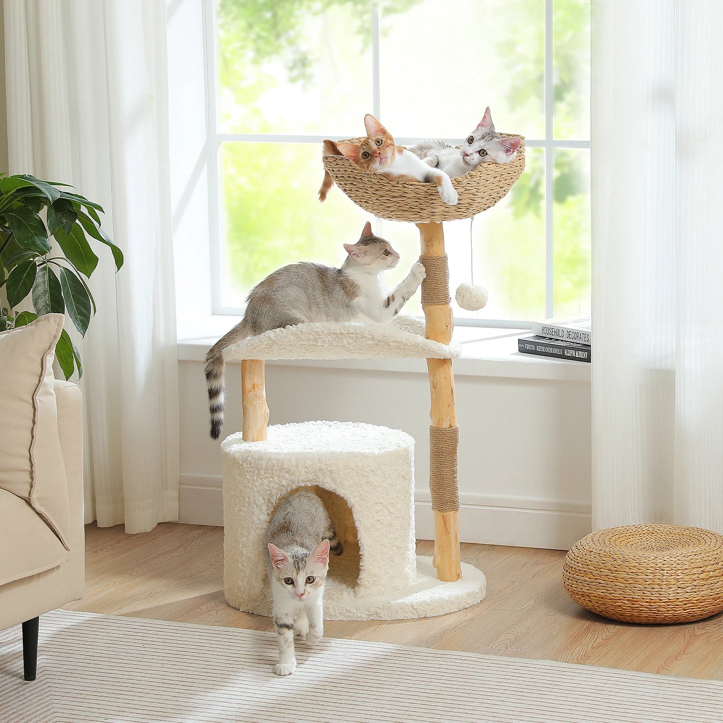Chill Climb Cat Scratching Post!