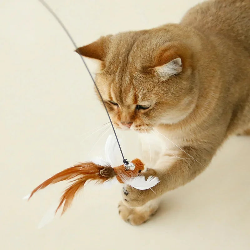 Interactive Feather Toy