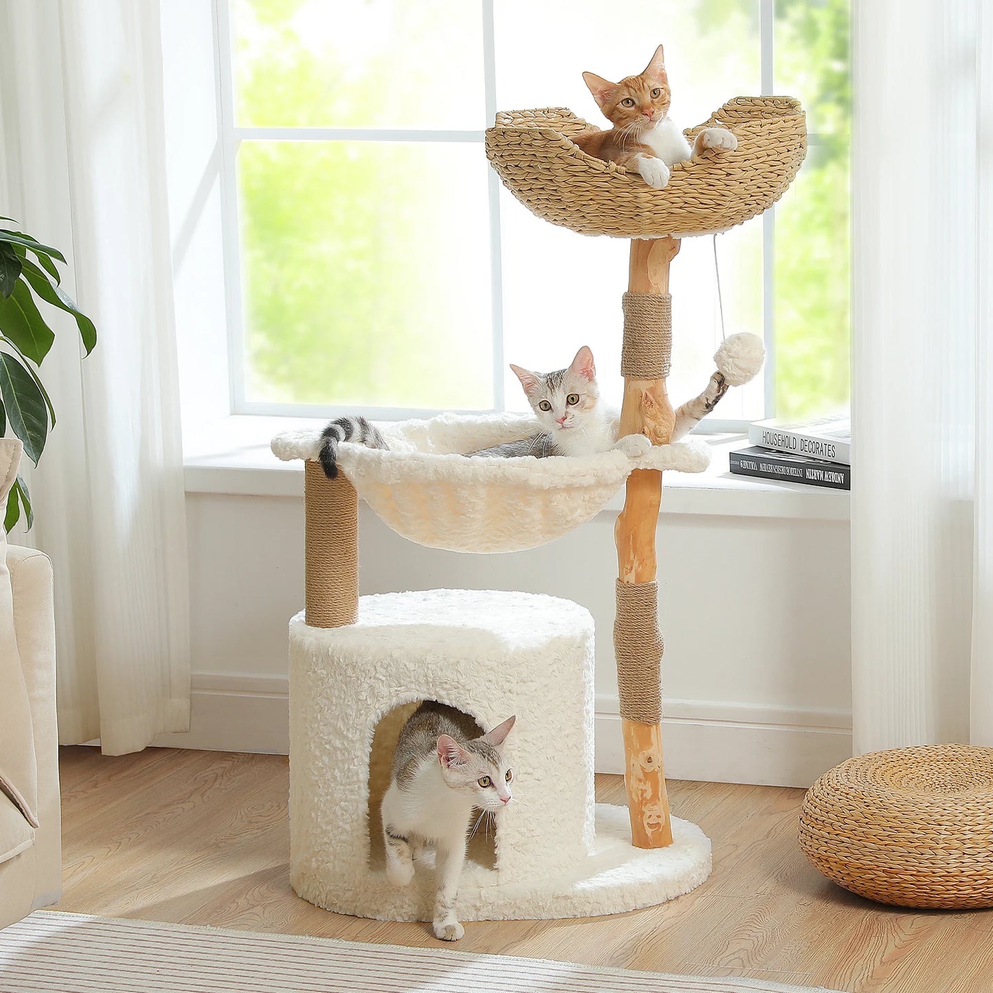 Chill Climb Cat Scratching Post!