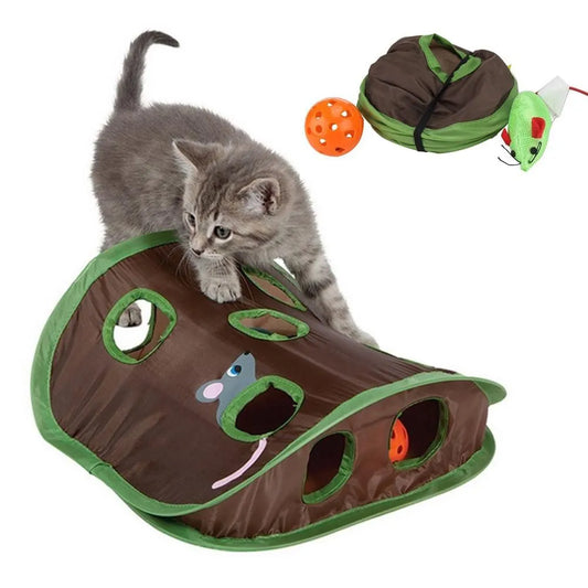 Hide & Seek Mouse Hunt