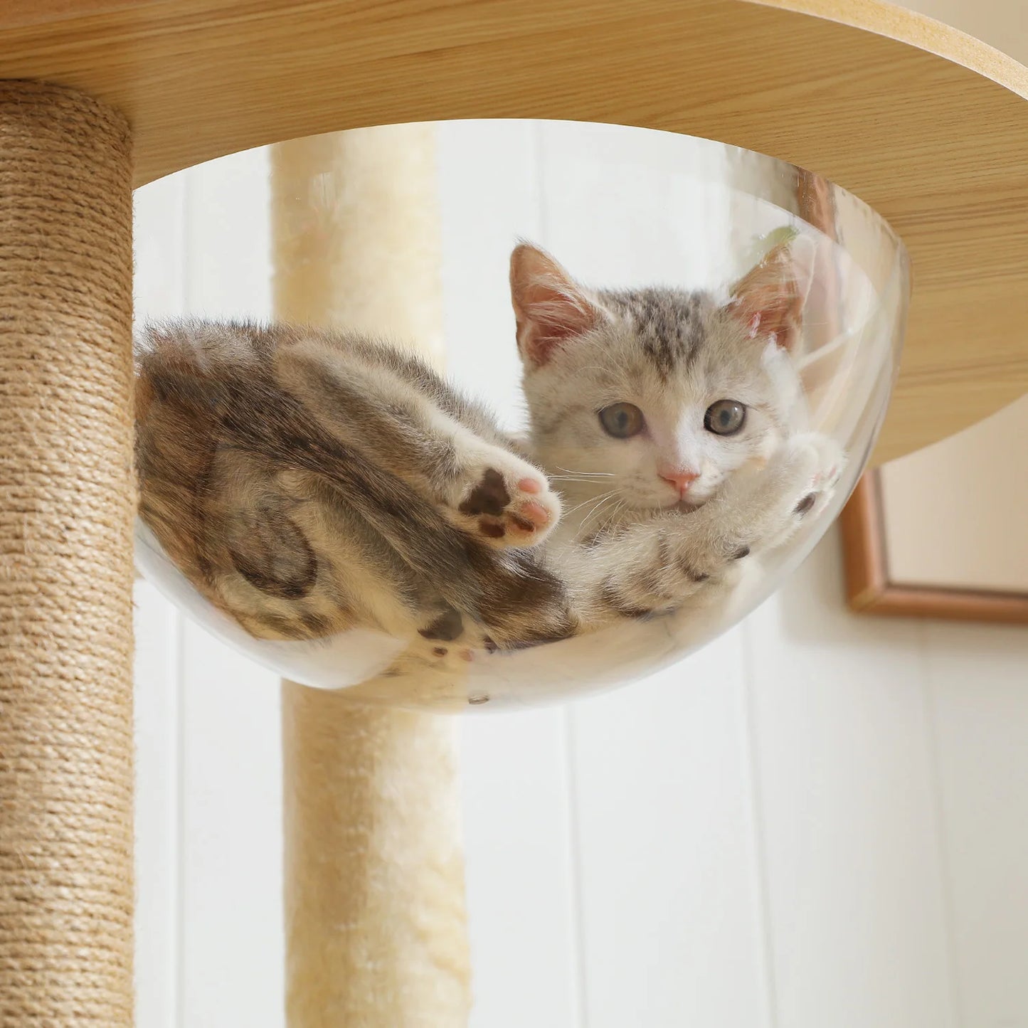 Multi-Level Large Cat Tree with Scratching Posts