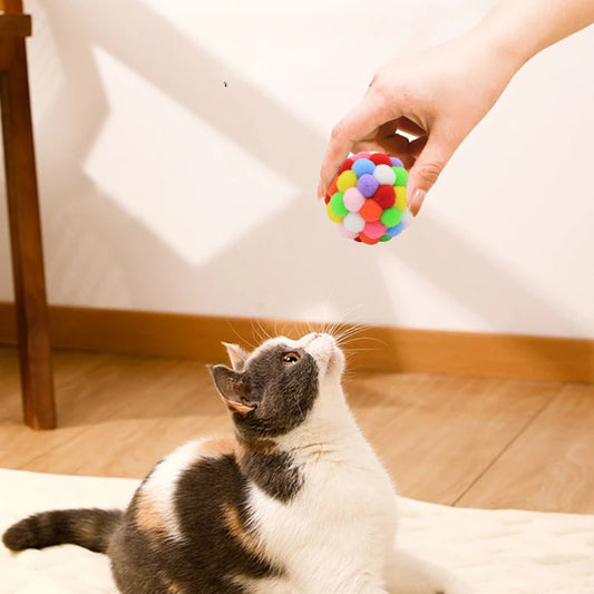 Colorful Squishy Ball
