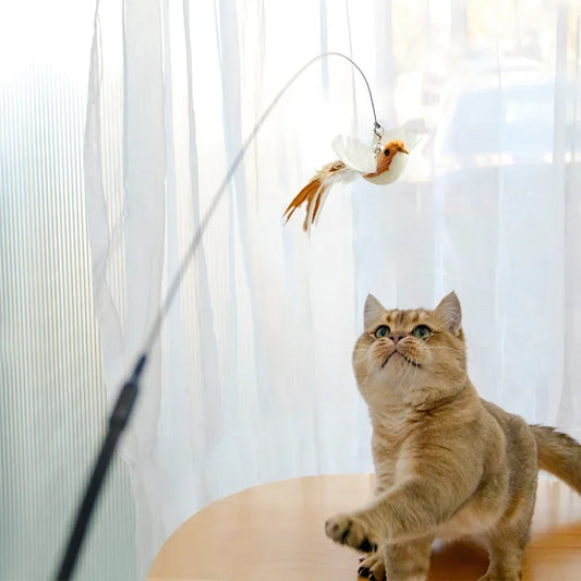 Interactive Feather Toy