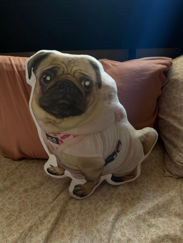 Personalized Cutout Pet Body Pillow