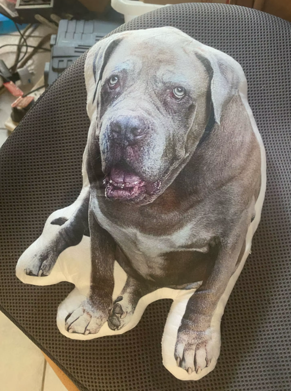 Personalized Cutout Pet Body Pillow