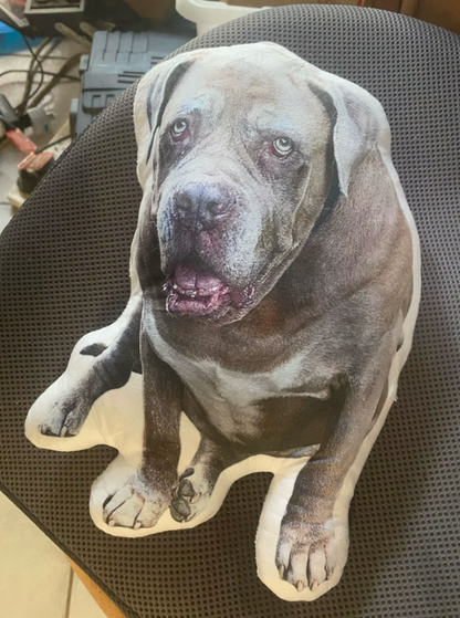 Personalized Cutout Pet Body Pillow